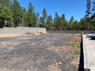 1200 E Cedar Ridge Run, Show Low, AZ 85901 photo 4