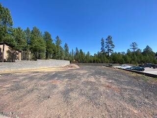 1200 E Cedar Ridge Run, Show Low, AZ 85901