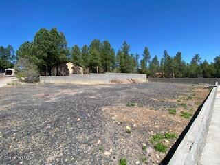 1200 E Cedar Ridge Run, Show Low, AZ 85901 photo 3