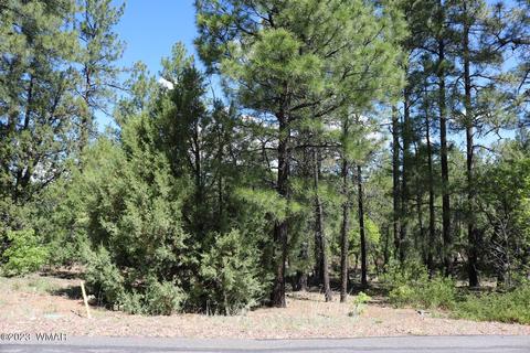 1441 S Vine Maple Ln, Show Low, AZ 85901