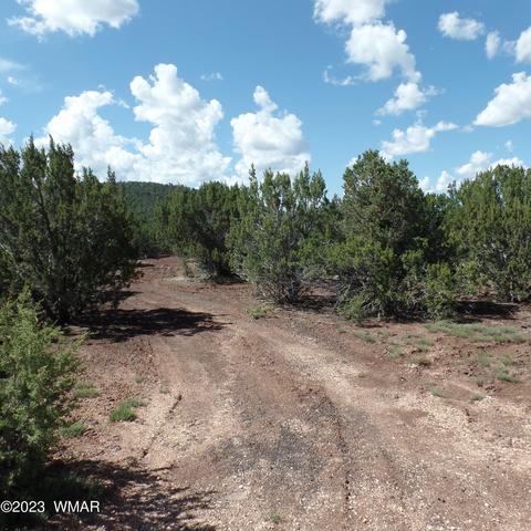 Tbd County Rd 3323 Parcel B, Vernon, AZ 85940