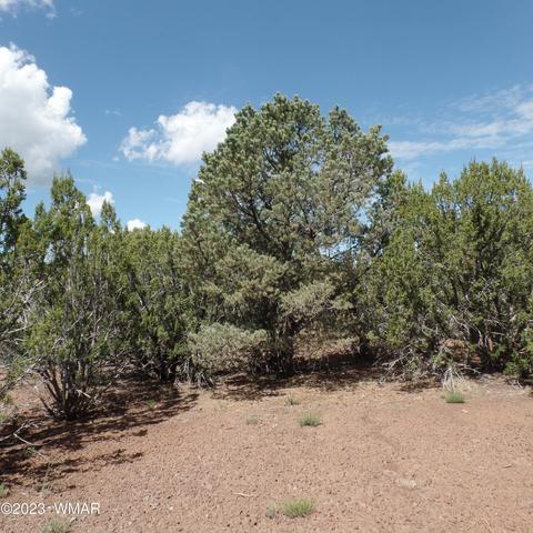 Tbd County Rd 3323 Parcel A, Vernon, AZ 85940