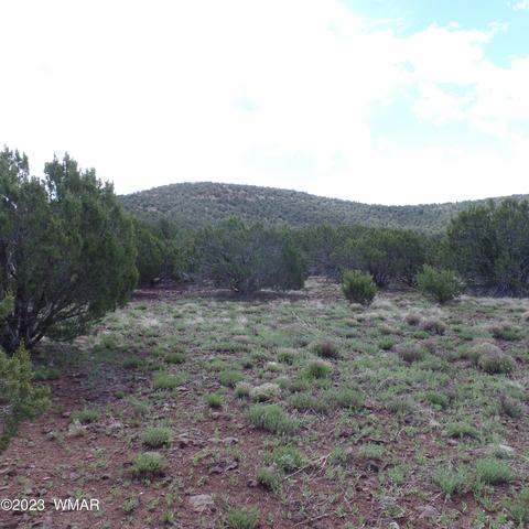 Tbd N3314 Parcel D, Vernon, AZ 85940