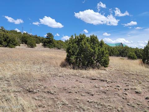 tbd 4th St, Eagar, AZ 85925
