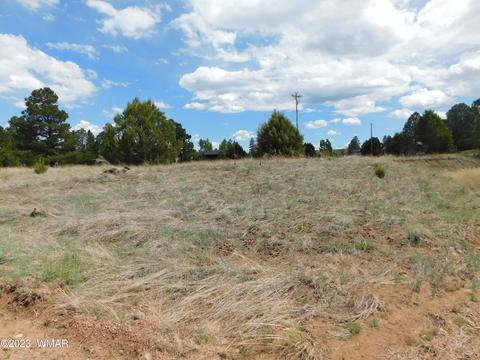 2267 Page Dr, Overgaard, AZ 85933 photo 8