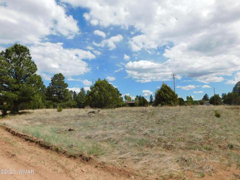 2267 Page Dr, Overgaard, AZ 85933 photo 4