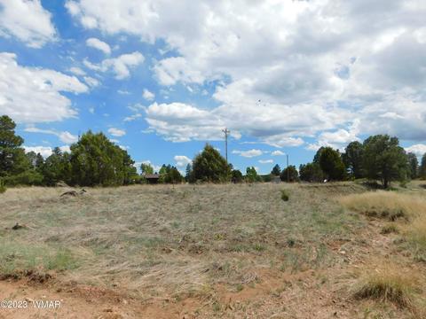 2267 Page Dr, Overgaard, AZ 85933 photo 3
