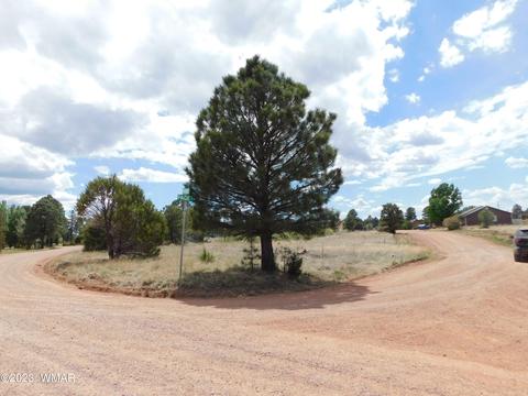 2267 Page Dr, Overgaard, AZ 85933 photo 6
