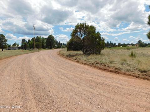2267 Page Dr, Overgaard, AZ 85933 photo 7