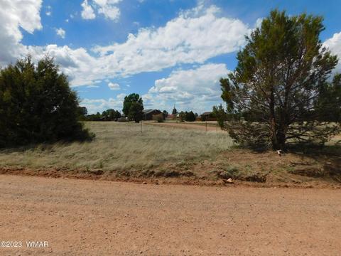 2267 Page Dr, Overgaard, AZ 85933