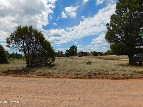 2267 Page Dr, Overgaard, AZ 85933 photo 5
