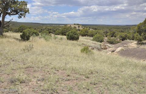 163 Cr 8269, Concho, AZ 85924