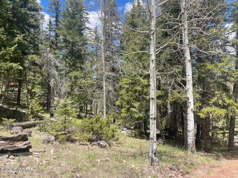7 County Rd 2220, Alpine, AZ 85920