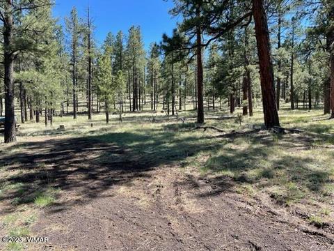 3 County Rd Block 12, Greer, AZ 85927