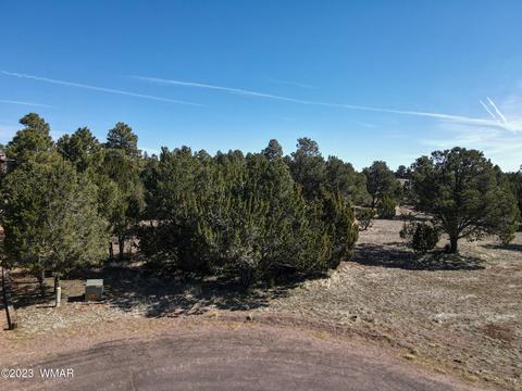 2272 Wright Cir, Overgaard, AZ 85933 photo 3
