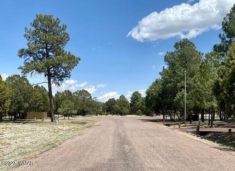 2272 Wright Cir, Overgaard, AZ 85933 photo 5