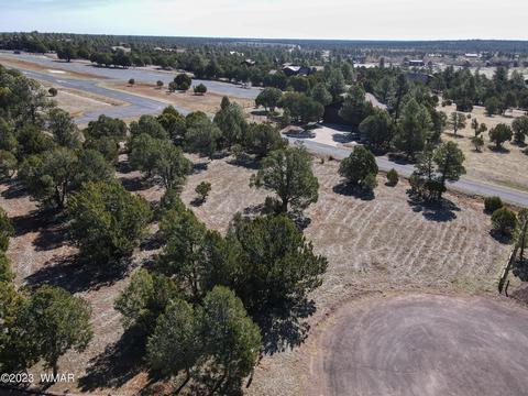 2272 Wright Cir, Overgaard, AZ 85933 photo 7