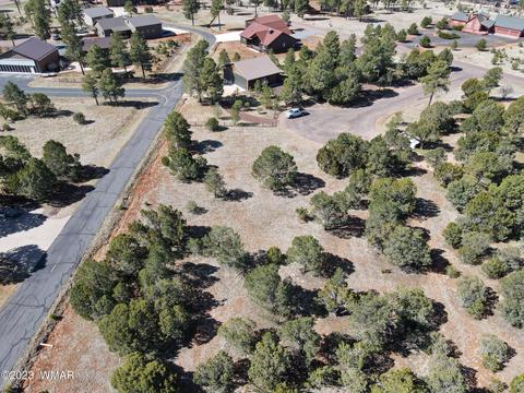 2272 Wright Cir, Overgaard, AZ 85933 photo 9