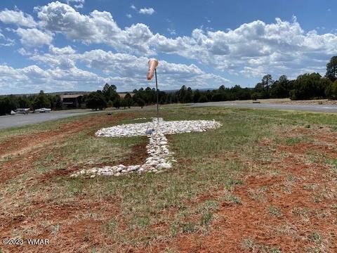 2272 Wright Cir, Overgaard, AZ 85933 photo 18