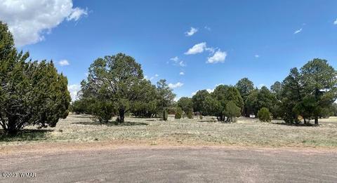 2272 Wright Cir, Overgaard, AZ 85933 photo 2