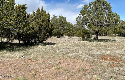 2272 Wright Cir, Overgaard, AZ 85933 photo 4