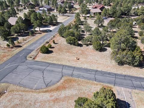 2272 Wright Cir, Overgaard, AZ 85933 photo 10
