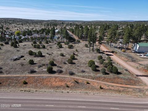2205 Az-260, Overgaard, AZ 85928 photo 5