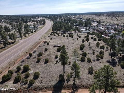 2205 Az-260, Overgaard, AZ 85928 photo 3