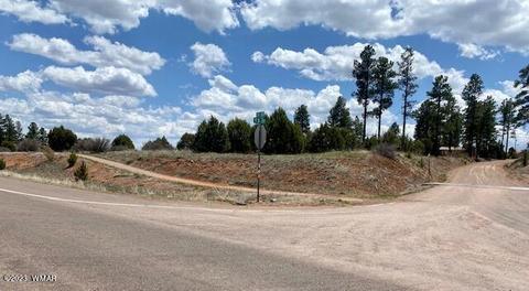 2205 Az-260, Overgaard, AZ 85928 photo 2