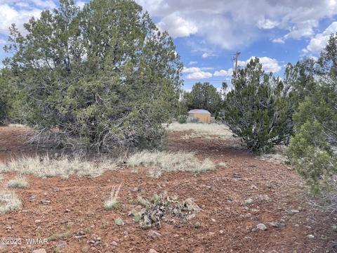 1879 Turkey Flat Pl, Show Low, AZ 85901