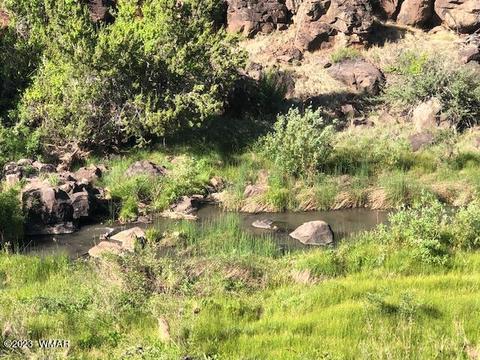 8410 Rainbow Dr, Show Low, AZ 85901