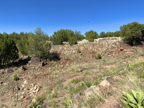 1926 Daggs Cir, Show Low, AZ 85901 photo 8