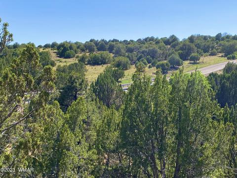 1926 Daggs Cir, Show Low, AZ 85901 photo 5