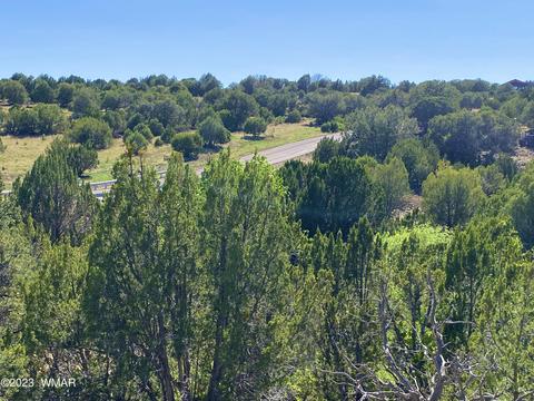 1926 Daggs Cir, Show Low, AZ 85901 photo 12