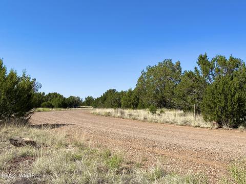1926 Daggs Cir, Show Low, AZ 85901 photo 11