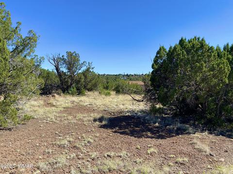 1926 Daggs Cir, Show Low, AZ 85901 photo 17