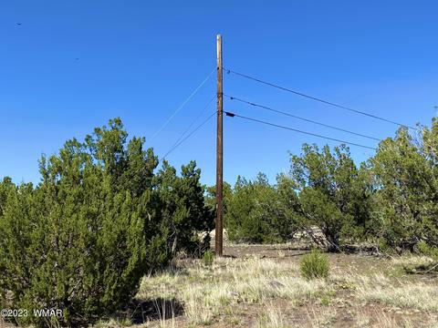 1926 Daggs Cir, Show Low, AZ 85901 photo 10