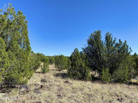 1926 Daggs Cir, Show Low, AZ 85901 photo 15