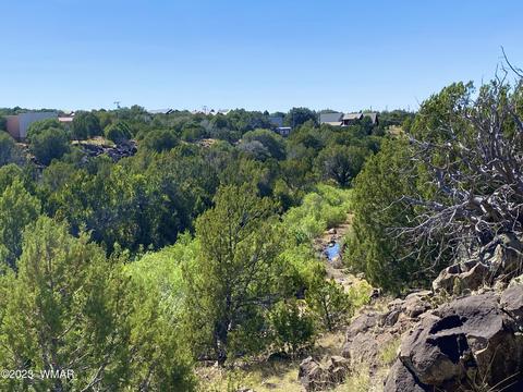 1926 Daggs Cir, Show Low, AZ 85901 photo 3