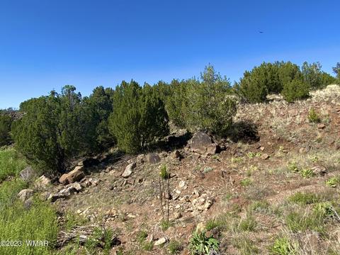 1926 Daggs Cir, Show Low, AZ 85901 photo 6
