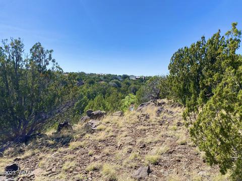1926 Daggs Cir, Show Low, AZ 85901 photo 14