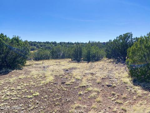 1926 Daggs Cir, Show Low, AZ 85901 photo 18