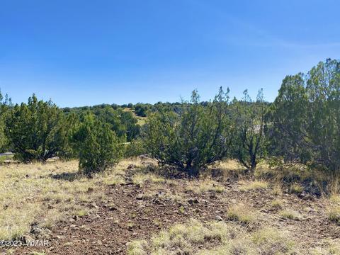 1926 Daggs Cir, Show Low, AZ 85901 photo 16