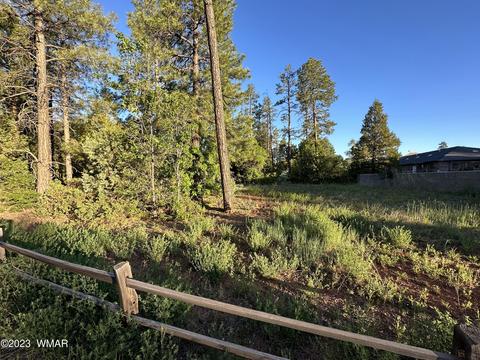 2181 Evergreen Ln, Show Low, AZ 85901