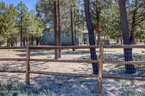 1231 Turkey Hill Rd, Pinedale, AZ 85934