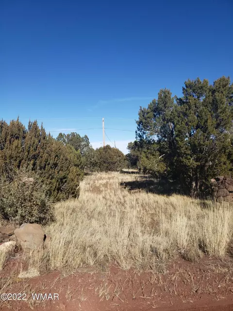 8560 Quail Run Dr, Show Low, AZ 85901