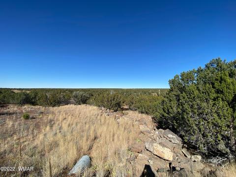 8744 Silver Creek Dr, Show Low, AZ 85901