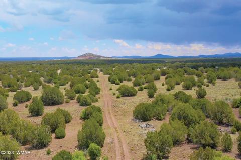 lot C-3 Silver Lake Blvd, Show Low, AZ 85901