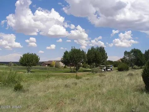 8418 Lake View Dr, Show Low, AZ 85901