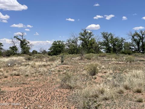 tbd W 9th St, Saint Johns, AZ 85936